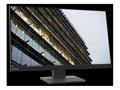 Monitor Lenovo ThinkVision E24-27 - LED - 61 cm 24"